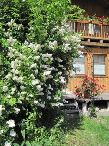 Appartement Haus Der Sonne